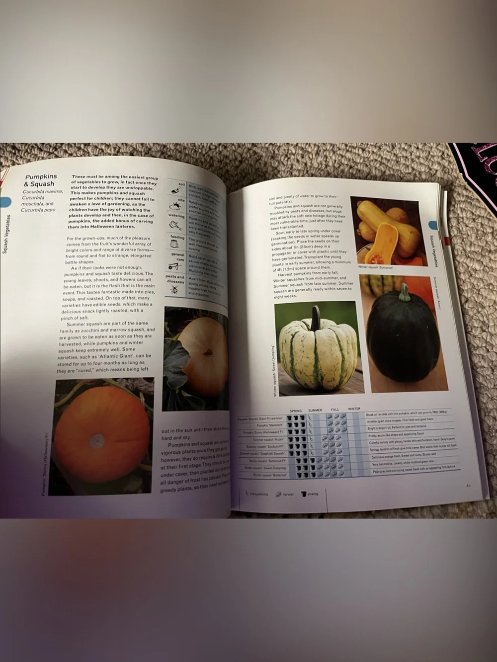 Small Plot Big Harvest & Kitchen Garden, Gardening Guide Books
